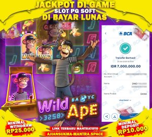 TESTI JACKPOT PG SOFT