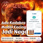 Slot Pragmatic, Testimoni Slot